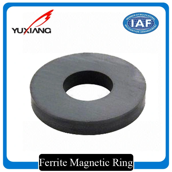 High Performance Permanent Ferrite Ring Magnet