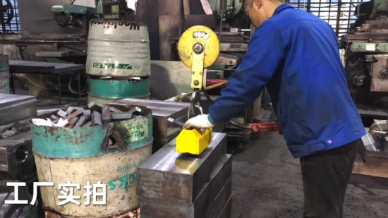 중국 Bester 1000 kg Magnetheber-Hebemagnet